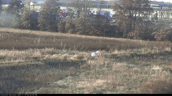 Cell 2 to 3_23-11-19_16-33-00-88