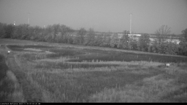 Cell 2_23-11-19_07-03-25-96