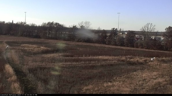 Cell 2_23-11-19_15-59-17-81