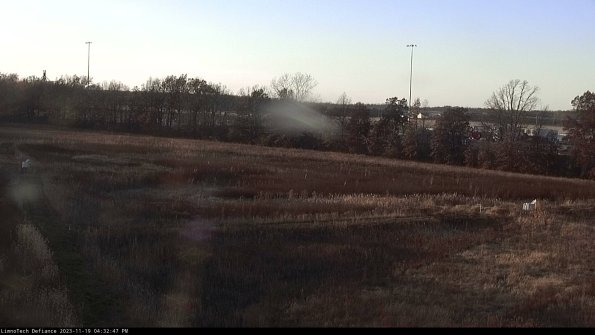 Cell 2_23-11-19_16-32-47-83