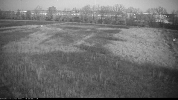 Cell 3_23-11-19_07-03-54-79