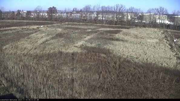 Cell 3_23-11-19_09-17-51-78