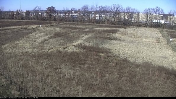 Cell 3_23-11-19_12-38-49-79