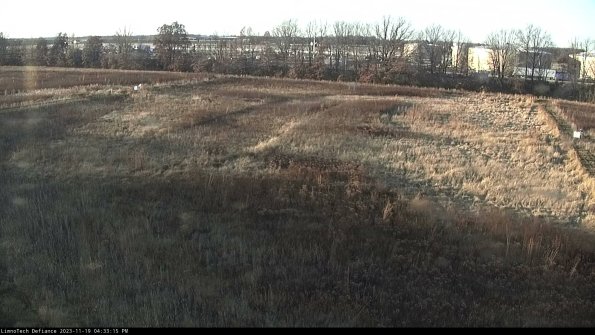 Cell 3_23-11-19_16-33-15-79