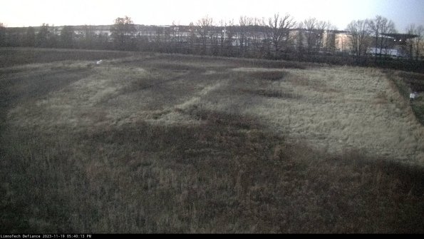 Cell 3_23-11-19_17-40-14-00