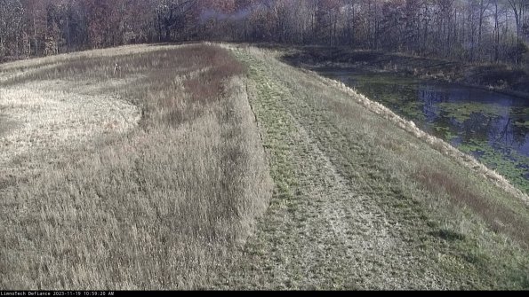 Cell 4 to Basin_23-11-19_10-59-20-79