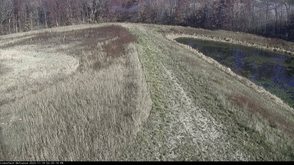 Cell 4 to Basin_23-11-19_14-20-14-80