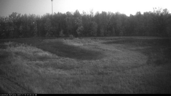 Cell 4_23-11-19_07-04-22-79