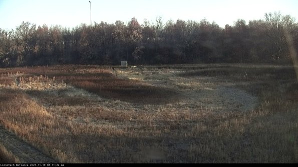 Cell 4_23-11-19_08-11-22-78