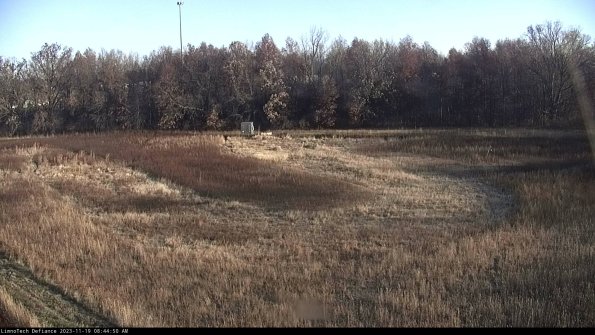 Cell 4_23-11-19_08-44-50-79