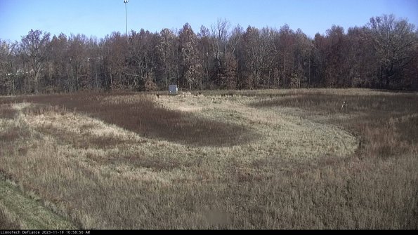 Cell 4_23-11-19_10-58-50-80