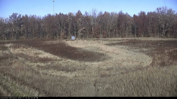 Cell 4_23-11-19_14-19-44-77