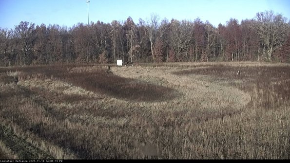 Cell 4_23-11-19_16-00-13-77