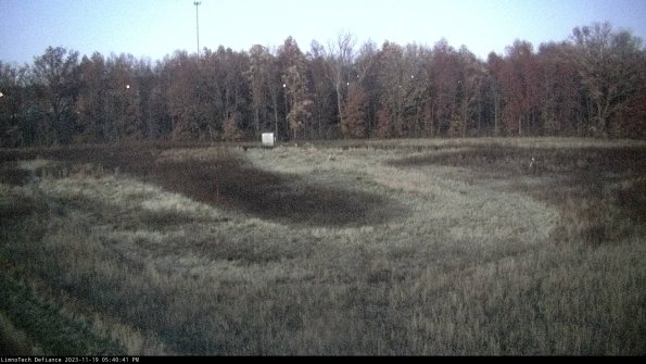 Cell 4_23-11-19_17-40-41-79