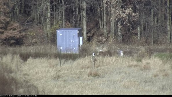 Outlet_23-11-19_14-19-59-79