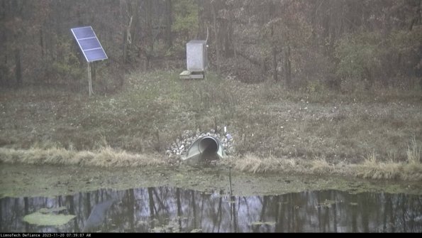 Basin Inflow_23-11-20_07-39-07-90