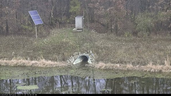 Basin Inflow_23-11-20_10-26-35-80