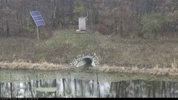 Basin Inflow_23-11-20_11-00-05-01