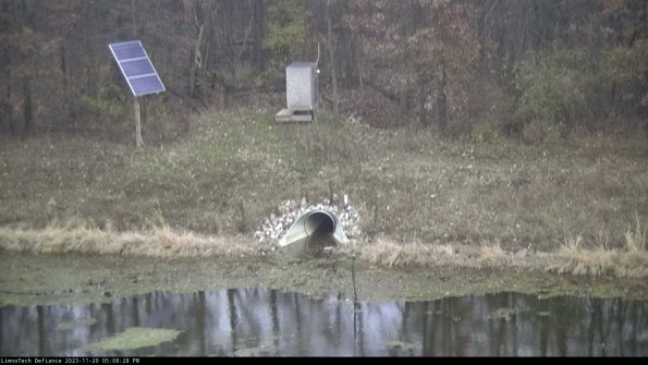 Basin Inflow_23-11-20_17-08-29-01