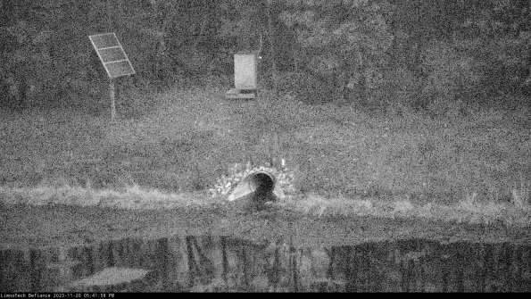 Basin Inflow_23-11-20_17-41-58-79