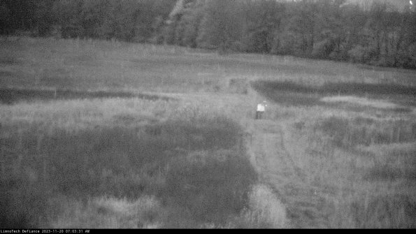 Cell 1 to 2_23-11-20_07-03-31-76