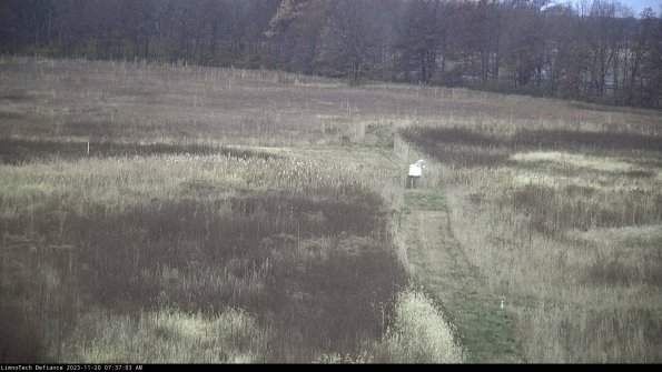 Cell 1 to 2_23-11-20_07-37-03-77