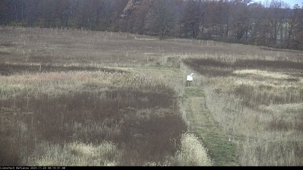 Cell 1 to 2_23-11-20_08-10-31-78