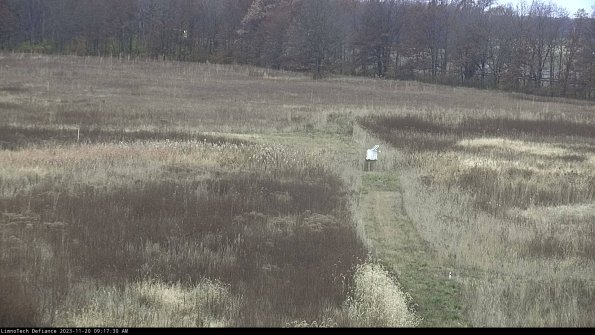 Cell 1 to 2_23-11-20_09-17-30-78