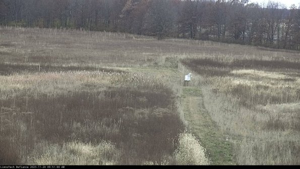 Cell 1 to 2_23-11-20_09-51-00-79