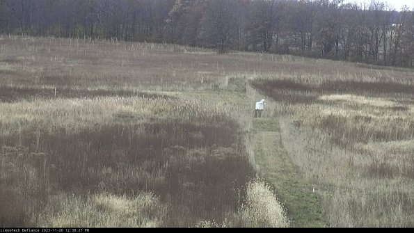 Cell 1 to 2_23-11-20_12-38-27-80