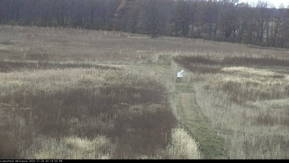 Cell 1 to 2_23-11-20_14-18-54-77