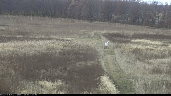 Cell 1 to 2_23-11-20_14-52-24-76