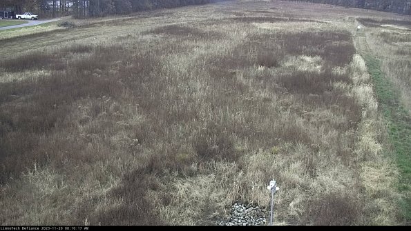 Cell 1_23-11-20_08-10-17-77