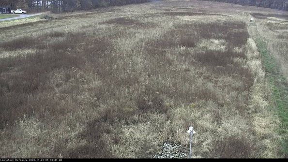 Cell 1_23-11-20_08-43-47-78