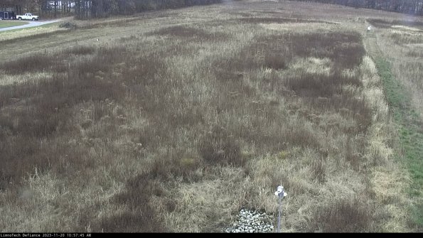 Cell 1_23-11-20_10-57-45-77