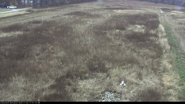 Cell 1_23-11-20_11-31-15-79