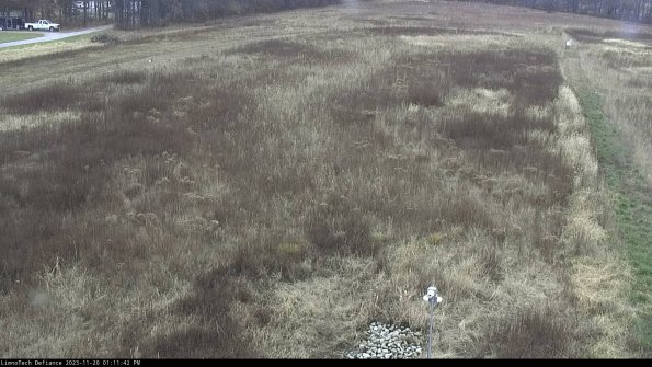 Cell 1_23-11-20_13-11-42-76