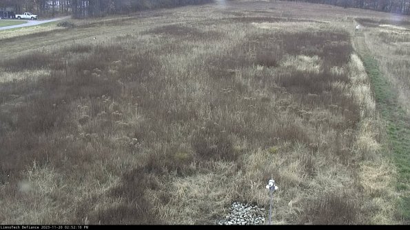 Cell 1_23-11-20_14-52-10-78