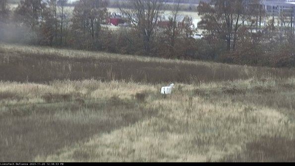 Cell 2 to 3_23-11-20_12-38-53-92