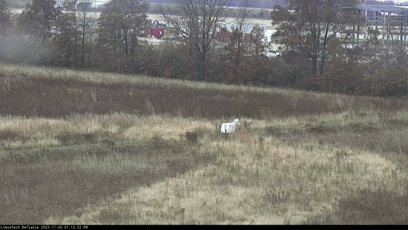 Cell 2 to 3_23-11-20_13-12-22-94