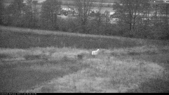 Cell 2 to 3_23-11-20_17-40-18-99