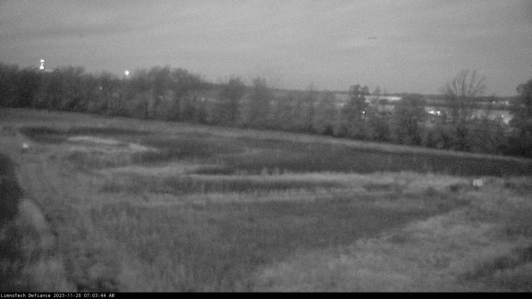 Cell 2_23-11-20_07-03-44-87