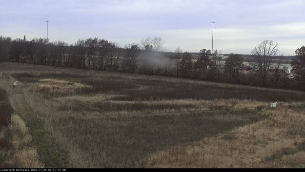 Cell 2_23-11-20_09-51-13-81