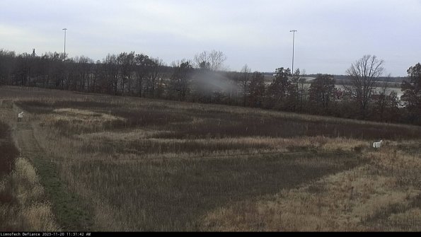 Cell 2_23-11-20_11-31-42-78