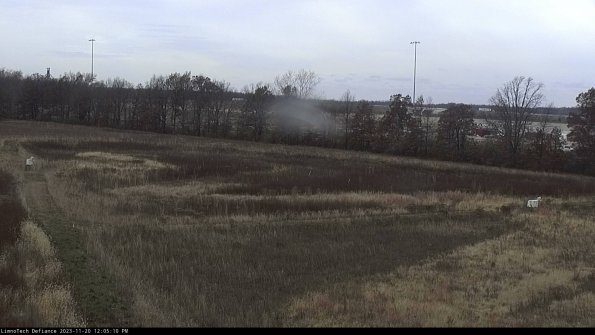 Cell 2_23-11-20_12-05-10-86