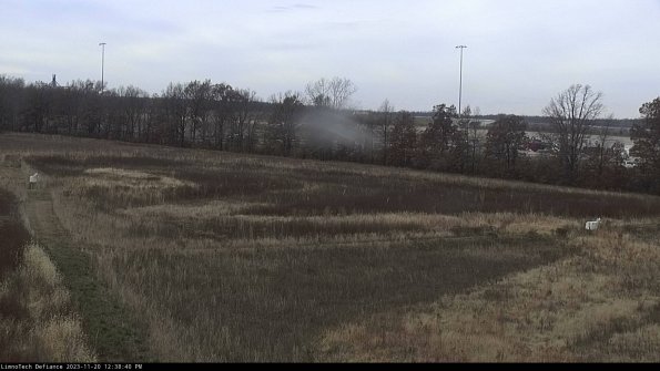 Cell 2_23-11-20_12-38-40-81