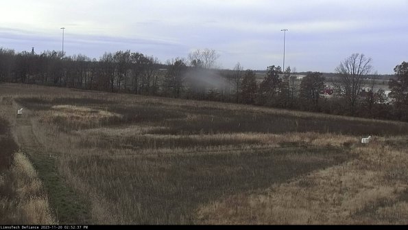 Cell 2_23-11-20_14-52-37-80