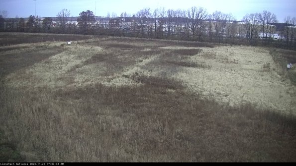 Cell 3_23-11-20_07-37-44-01