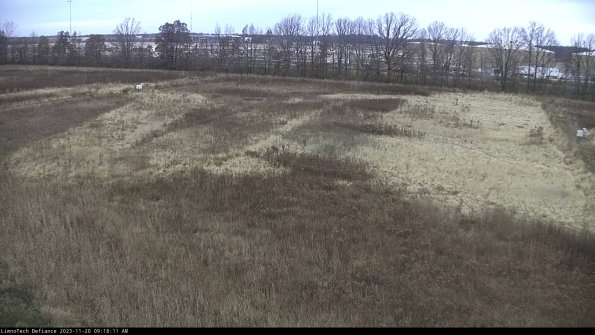 Cell 3_23-11-20_09-18-11-79