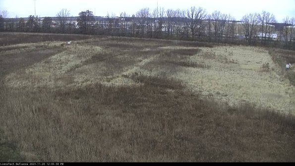 Cell 3_23-11-20_12-05-38-79